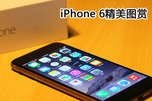 苹果iphone 6c